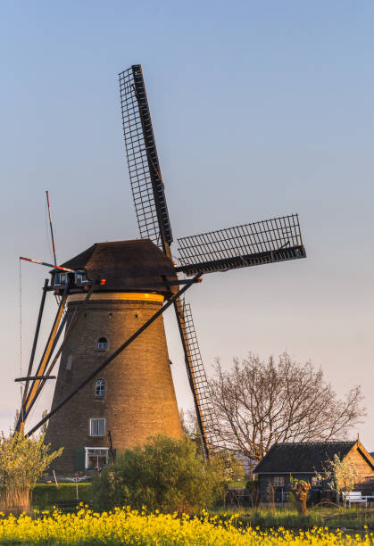 Kinderdijk Molenwaard South Holland The Netherlands Europe Sunset on windmill reflected in the canal lek river in the netherlands stock pictures, royalty-free photos & images