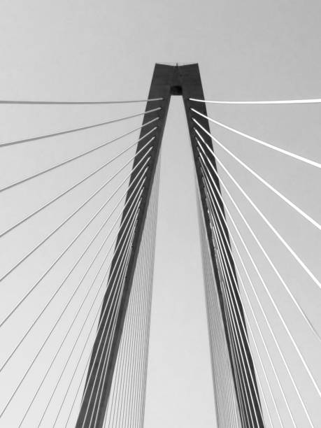 istock The Cooper River Bridge - Charleston, South Carolina 953243752