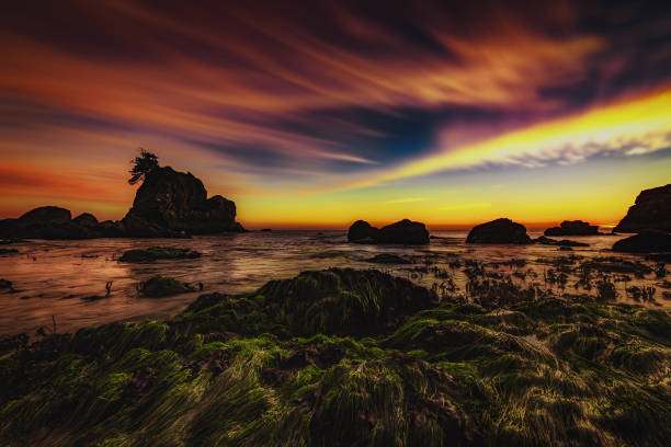 istock Sunset at a Rocky Northern California Beack 953243934