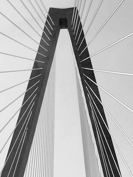 istock The Cooper River Bridge - Charleston, South Carolina 953259164