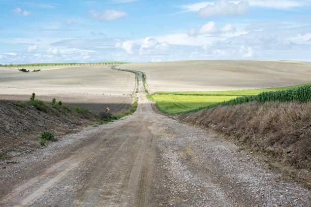 istock Rustic road that disappears on the horizon 953260644