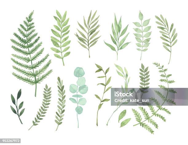 Vector Watercolor Illustrations Botanical Clipart Set Of Green Leaves Herbs And Branches Floral Design Elements Perfect For Wedding Invitations Greeting Cards Blogs Posters And More Stock Illustration - Download Image Now