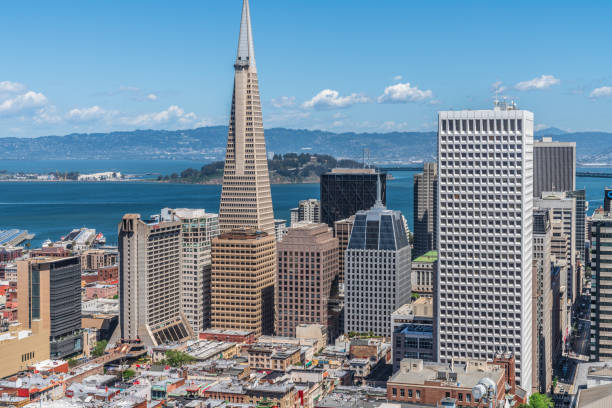 Downtown San Francisco with Transamerica Building and the Bay Downtown San Francisco skyline with the famous Transamerica Building and the bay in the background. Photo taken during a warm spring afternoon. transamerica pyramid san francisco stock pictures, royalty-free photos & images