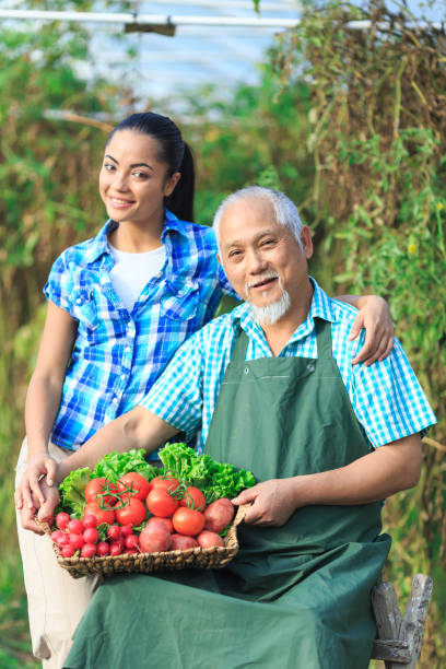 istock Family harvesting vegetables from garden 953276070