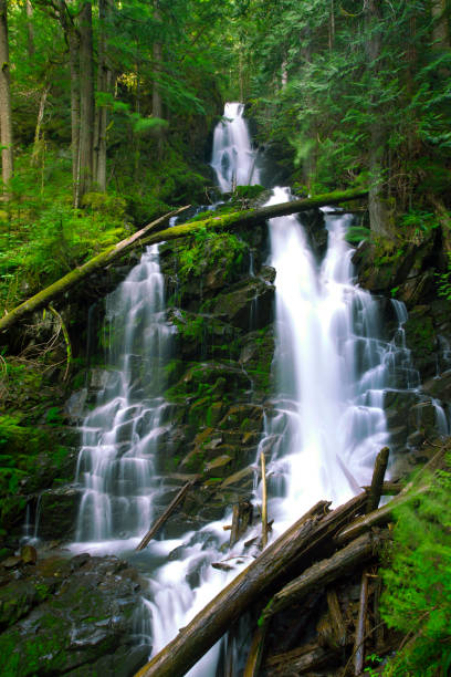 istock Ranger falls-Mount Rainier National Park,Washington state 953276138