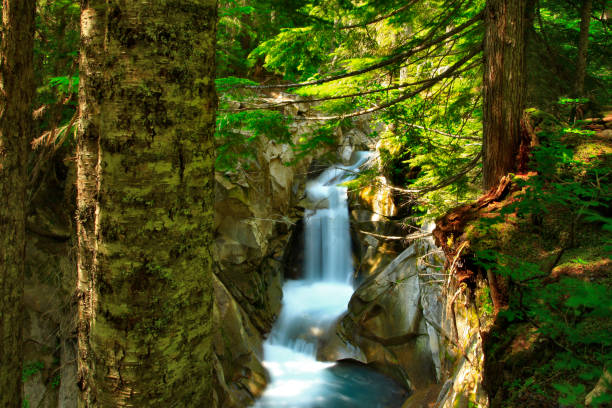 istock Middle Van Trump falls-Mount Rainier National Park,Washington state 953276382
