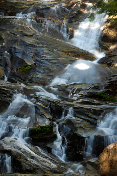 istock Chenuis falls-Mount Rainier National Park,Washington state 953276428