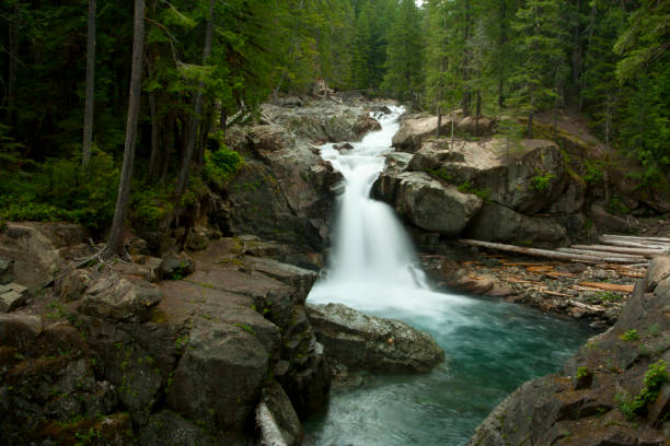 istock Silver falls-Mount Rainier National Park,Washington state 953276432