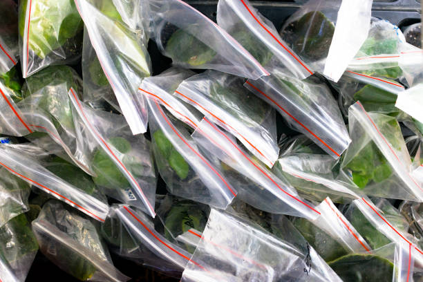 istock Leaves of violets 953277736