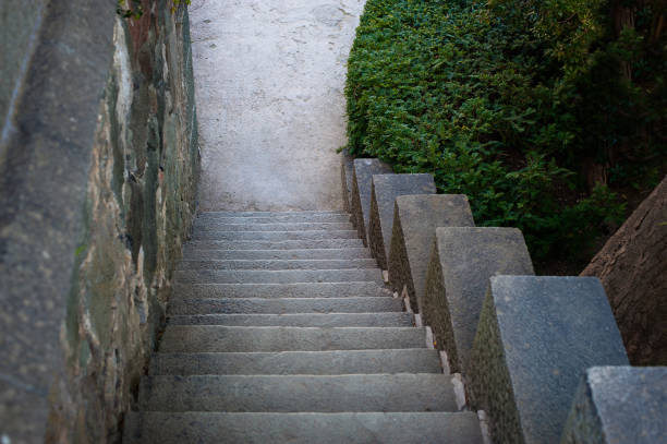 istock old stone staircase in the background of green tree 953280826