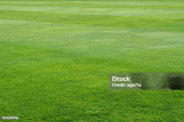 Green Grass On Playing Field Background Stock Photo - Download Image Now - Grass, Sports Field, Agricultural Field