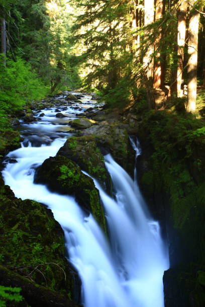 istock Sol Duc falls-Olympic National Park,Washington state 953286866