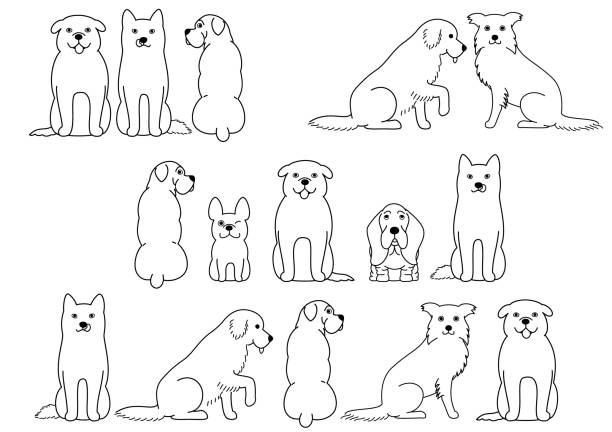 ilustrações, clipart, desenhos animados e ícones de arte de linha de fronteira de cachorro fofo - boxer side view dog white background