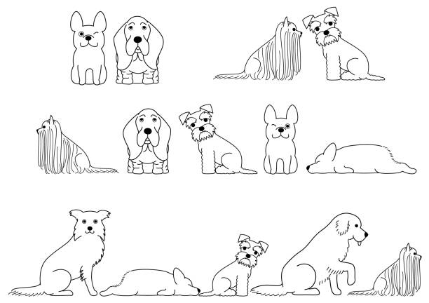 かわいい犬ボーダー ライン アート - シュナウザー点のイラスト素材／クリップアート素材／マンガ素材／アイコン素材