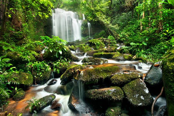 istock waterfall in thai national park. In the deep forest on mountain. 953293840