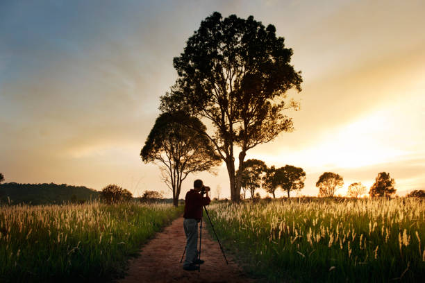 istock country rural road to forest 953294632