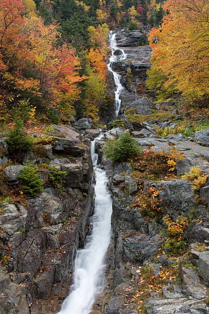 silver cascade – crawford wrębiają, stan new hampshire - silver cascade falls zdjęcia i obrazy z banku zdjęć