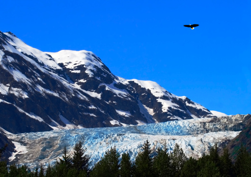 Landscape with Mount Athabasca at the Columbia Icefield, Canadian Rockies, Alberta, Canada.
