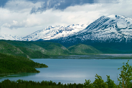 River in the beautiful alpine scenery of Denali National Park Alaska, USA