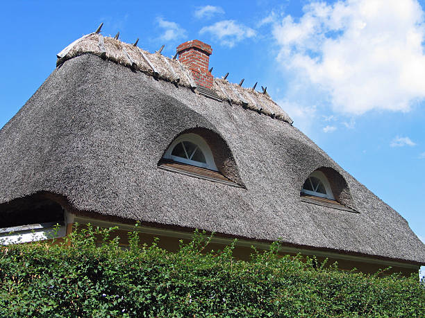 istock Country house with  thatched straw roof 95339770