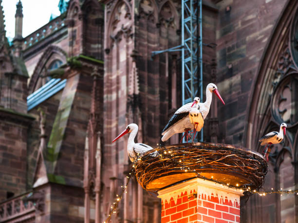 Strasbourg, France - December 11, 2011: decorative stork nest on traditional Christmas fair near Strasbourg Cathedral. The Strassbourg Christmas market is very first Xmas market in France