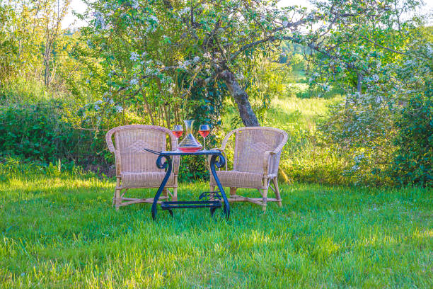 istock Relax in the blooming garden 953426736