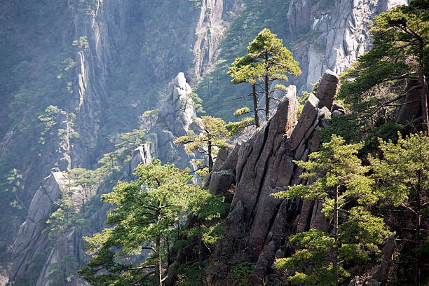 istock Huangshan National Park 95342684