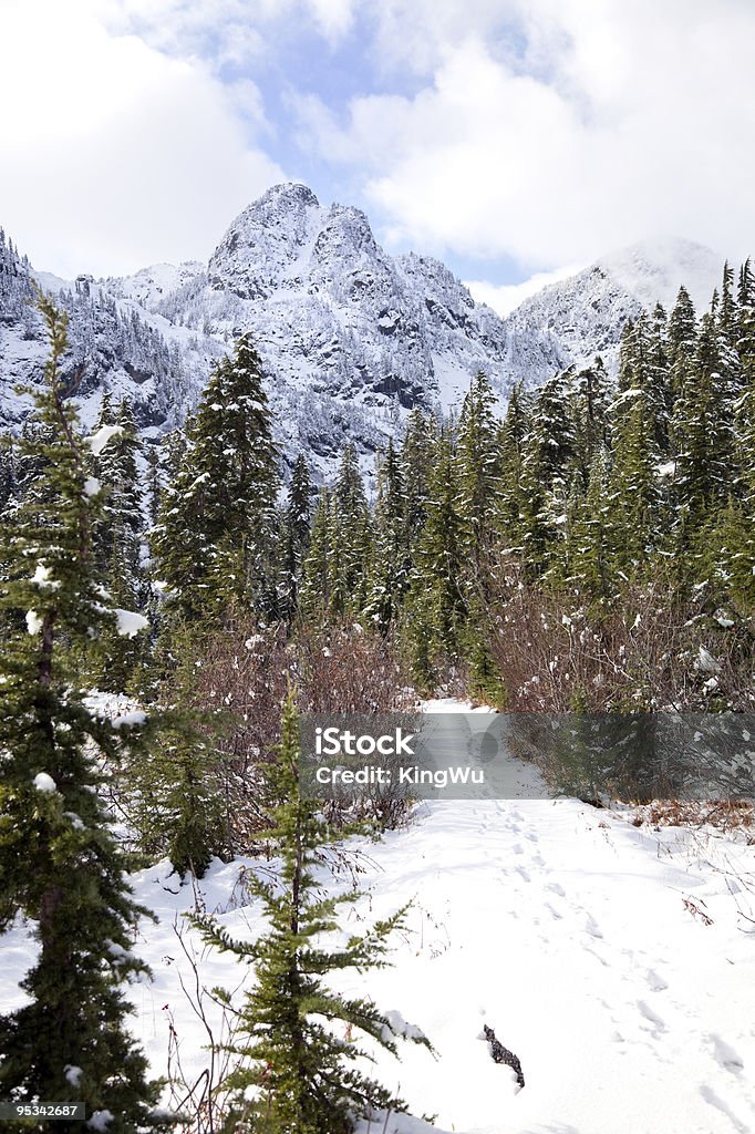 зима - Стоковые фото Mt Baker-Snoqualmie National Forest роялти-фри