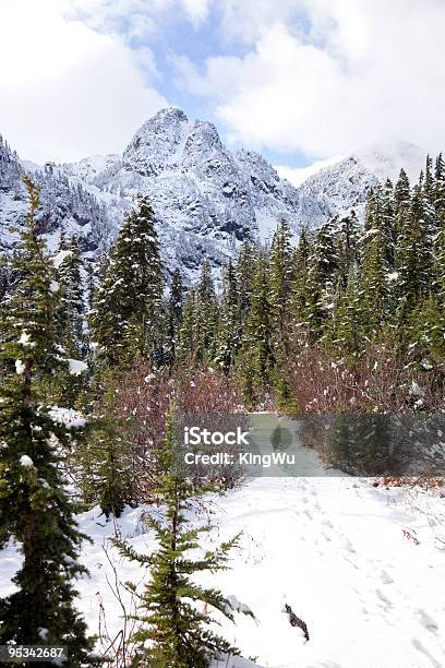 Зима — стоковые фотографии и другие картинки Mt Baker-Snoqualmie National Forest - Mt Baker-Snoqualmie National Forest, Без людей, Вертикальный