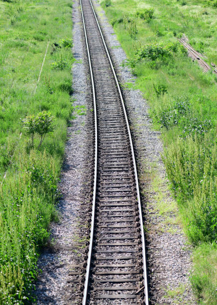 istock Railroad and green grass 953428296