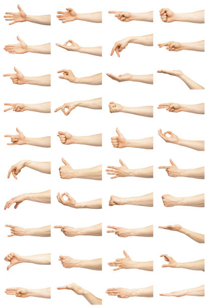 istock Multiple male caucasian hand gestures isolated over the white background 953429540