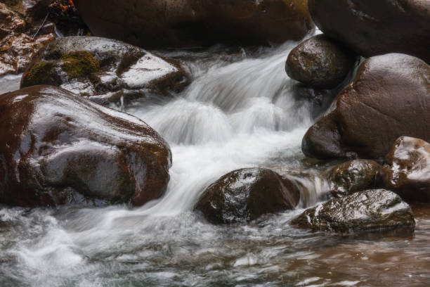 mountain stream - hokkaido japan stream forest imagens e fotografias de stock