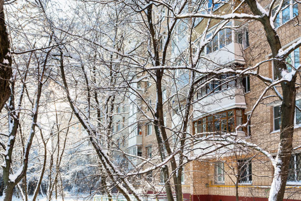 istock urban yard in residential district in winter 953431212