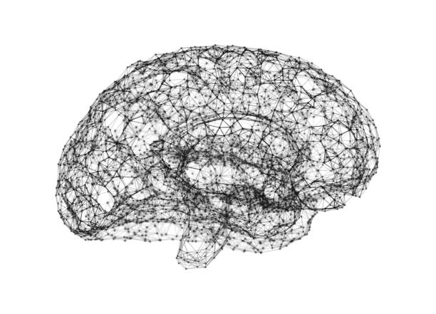 istock Human brain on white background in the form of artificial intelligence for technology concept, 3d illustration 953432440