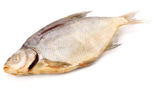 istock dried fish isolated on white background. Beer brewery concept. Beer background 953433930