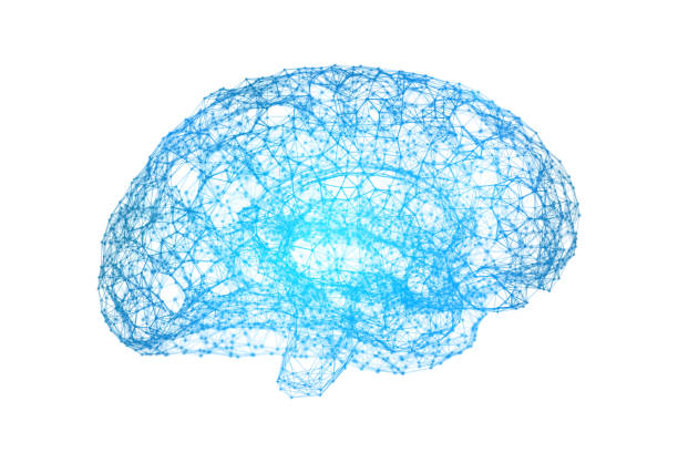 istock Human brain on white background in the form of artificial intelligence for technology concept, 3d illustration 953434992