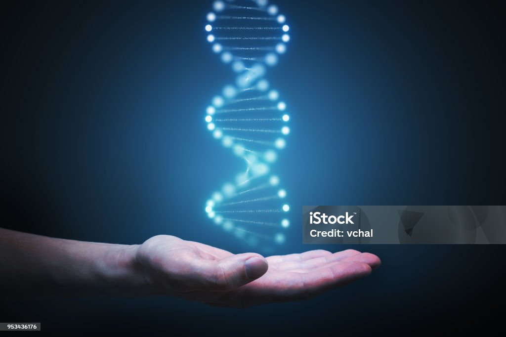 DNA and genetics research concept. Hand is holding glowing DNA molecule in hand. DNA Stock Photo