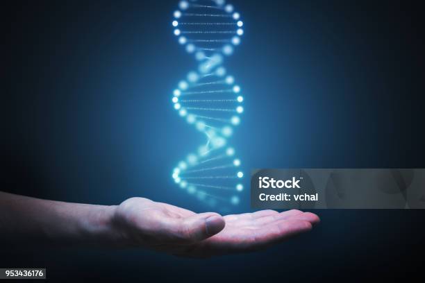 Dna And Genetics Research Concept Hand Is Holding Glowing Dna Molecule In Hand Stock Photo - Download Image Now