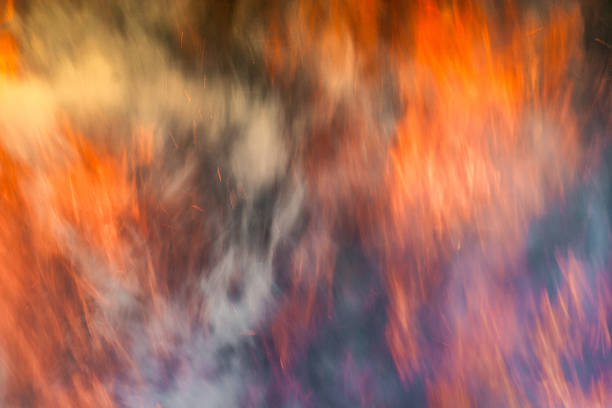 Strong fire in the forest, smoke, smog, burnt forest, light.