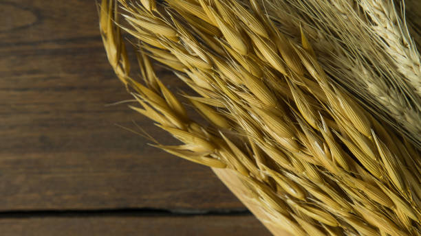 istock rice oat and wheat on wood table for background. 953437498