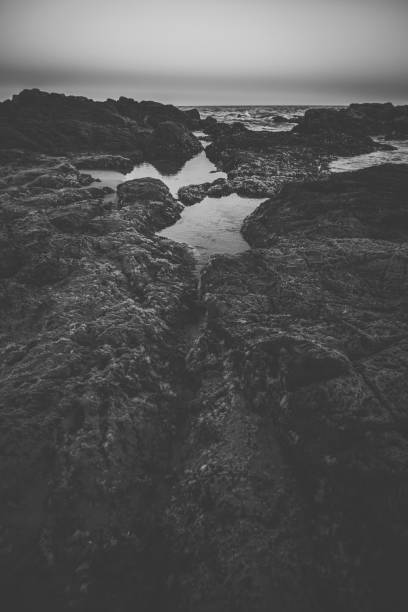 istock Coolum beach at the Sunshine Coast 953437760