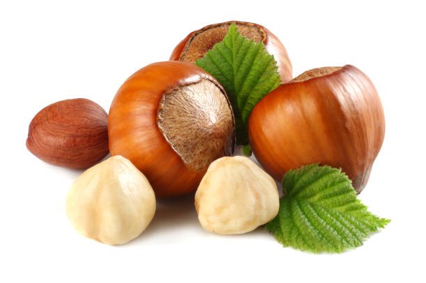 istock hazelnuts with leaves isolated on white background. macro 953438592