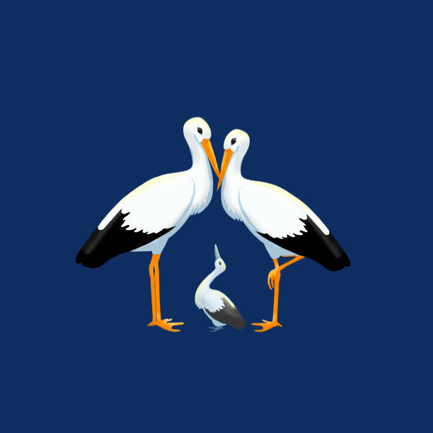 istock Family of white winged birds. 953438996