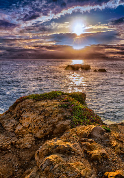 istock Northern California Coast 953442244