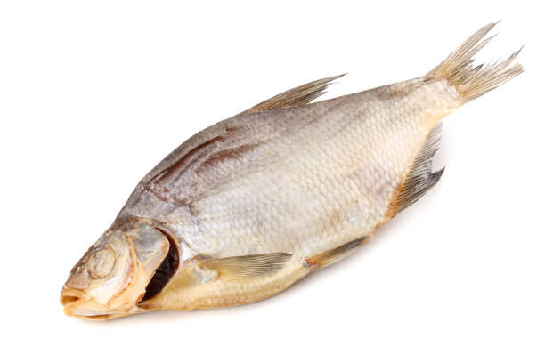 istock dried fish isolated on white background. Beer brewery concept. Beer background 953442856