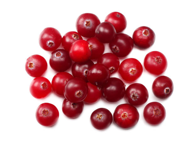 istock Cranberry isolated on white. With clipping path. Full depth of field. top view 953442882