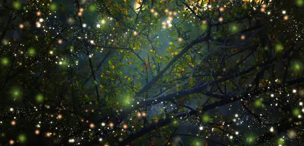 Photo of Abstract and magical image of Firefly flying in the night forest. Fairy tale concept.