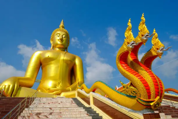 Big golden buddha statue and king of naka statue  in the temple of Thailand/WatMaung , Angthong Province, Thailand.