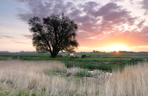 istock beautiful spring sunrise in countryside, Netherlands 953447010