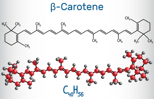 бета-каротин, провитамин а, является органическим красно-оранжевым пигментом в растениях и фруктах. структурная химическая формула и модел - carotene stock illustrations